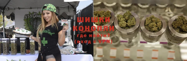 гидропоника Медногорск