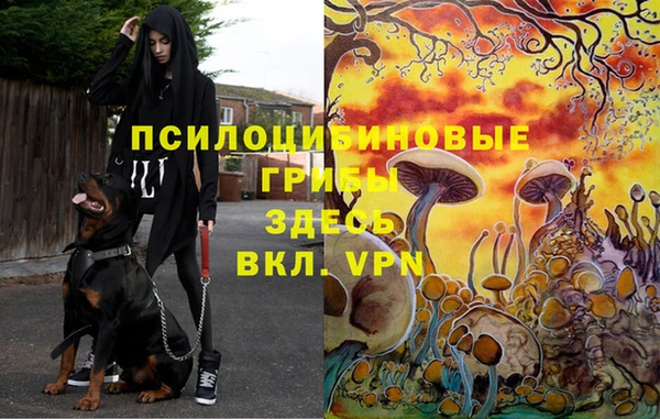 герыч Мегион
