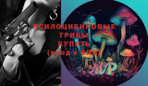 гидропоника Медногорск