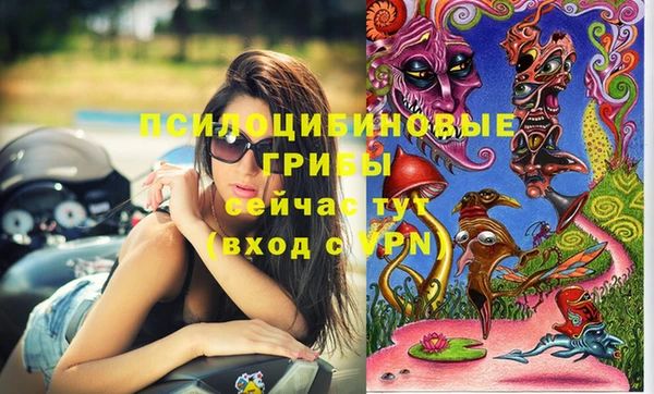 герыч Мегион