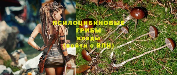 гидропоника Бердск